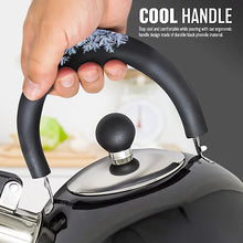 Stainless Steel Camping Kettle 2.5L Whistling Teapot For Gas Hob, Metallic Black-Platinum Appliances