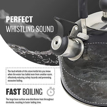 Stainless Steel Camping Kettle 2.5L Whistling Teapot For Gas Hob, Metallic Black-Platinum Appliances