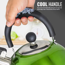 Stainless Steel Camping Kettle 2.5L Whistling Teapot For Gas Hob, Metallic Green-Platinum Appliances